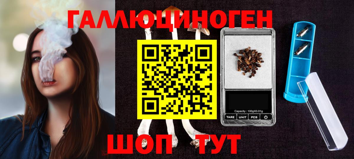 Псилоцибиновые грибы GOLDEN TEACHER Кудрово