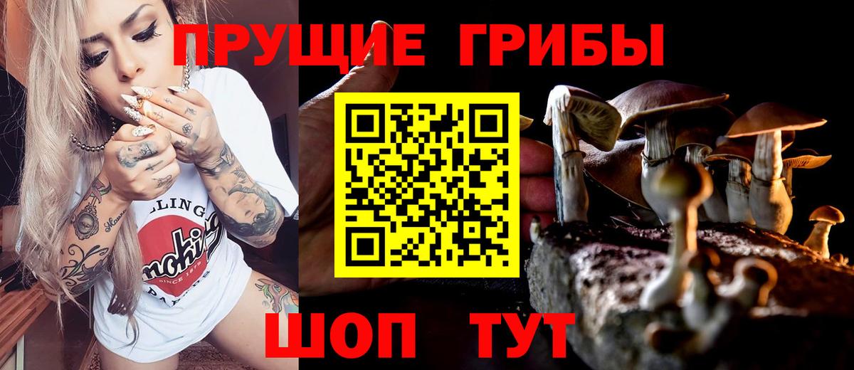Кудрово  Галлюциногенные грибы мицелий  Вход с VPN 